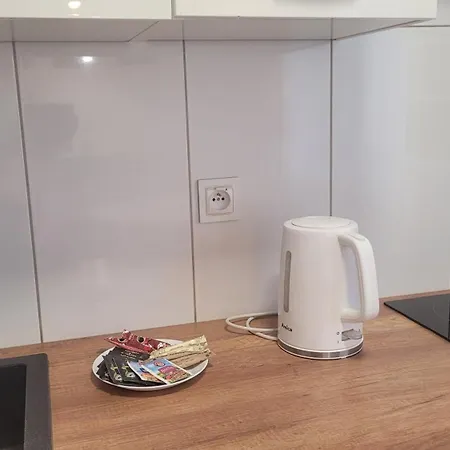 Przestronny Apartament Typu Studio, Garaz W Cenie
